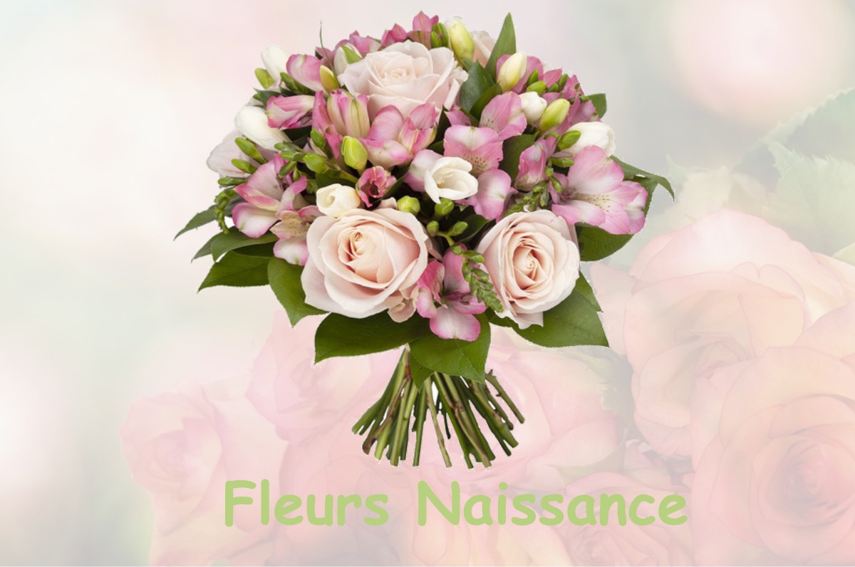 fleurs naissance MAYRES-SAVEL