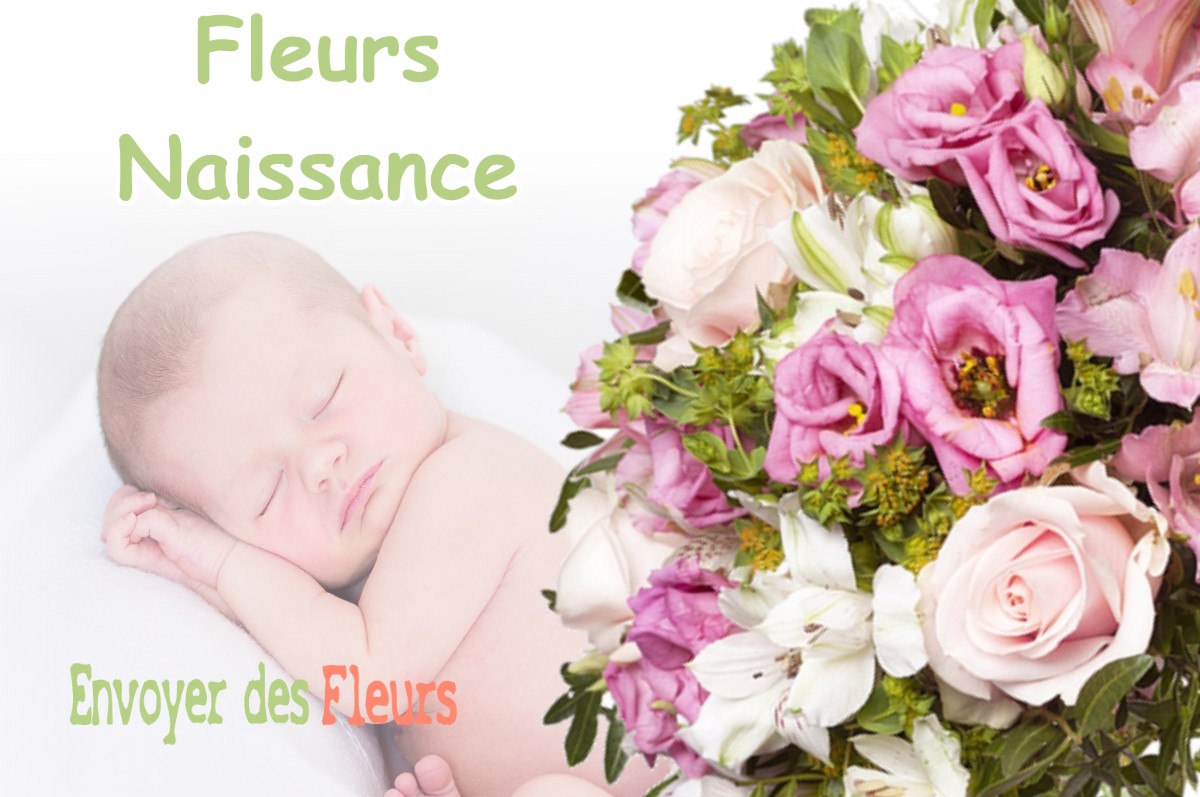 lIVRAISON FLEURS NAISSANCE à MAYRES-SAVEL