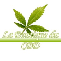 LA BOUTIQUE DU CBD MAYRES-SAVEL 